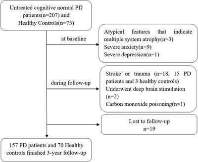 Blood neuroexosomal excitatory amino acid transporter-2 is associated with cognitive decline in Parkinson’s disease with RBD